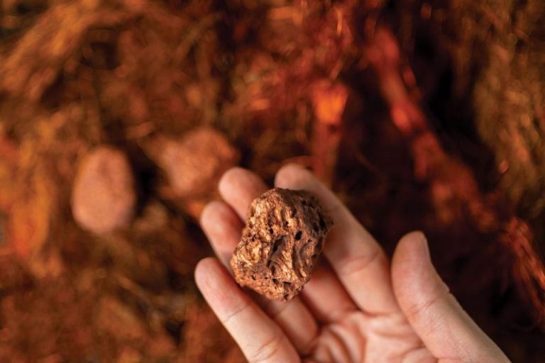What’s the Next US Copper Mine? 27 Copper Projects to Watch
